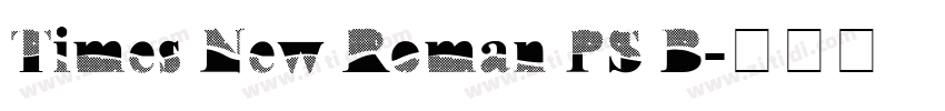 Times New Roman PS B字体转换